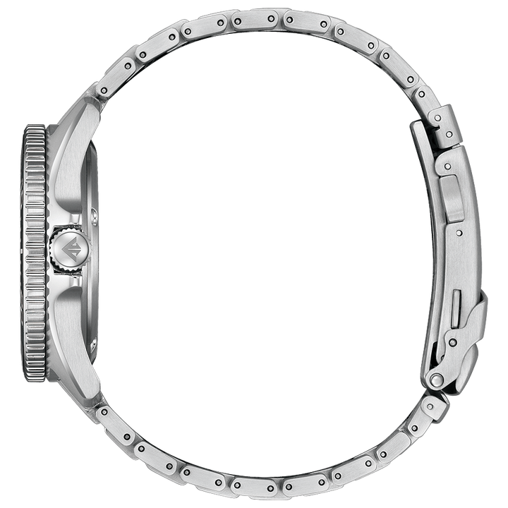 Additional Citizen BN0261-51E Promaster Dive product view